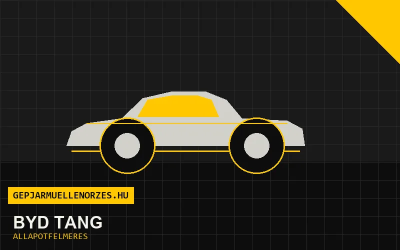 BYD Tang helyszíni állapotfelmérés és átvizsgálás
