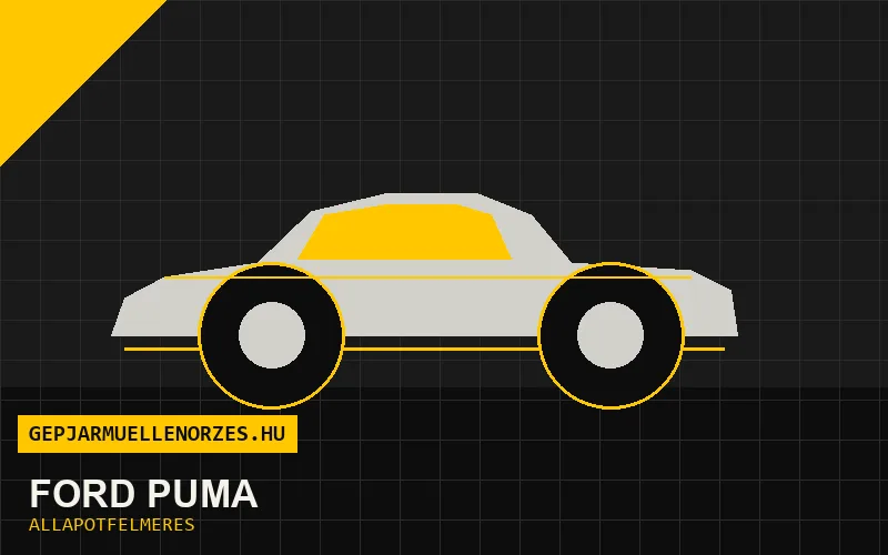 Ford Puma helyszíni állapotfelmérés és átvizsgálás